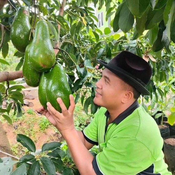 budi-jakarta.jpg